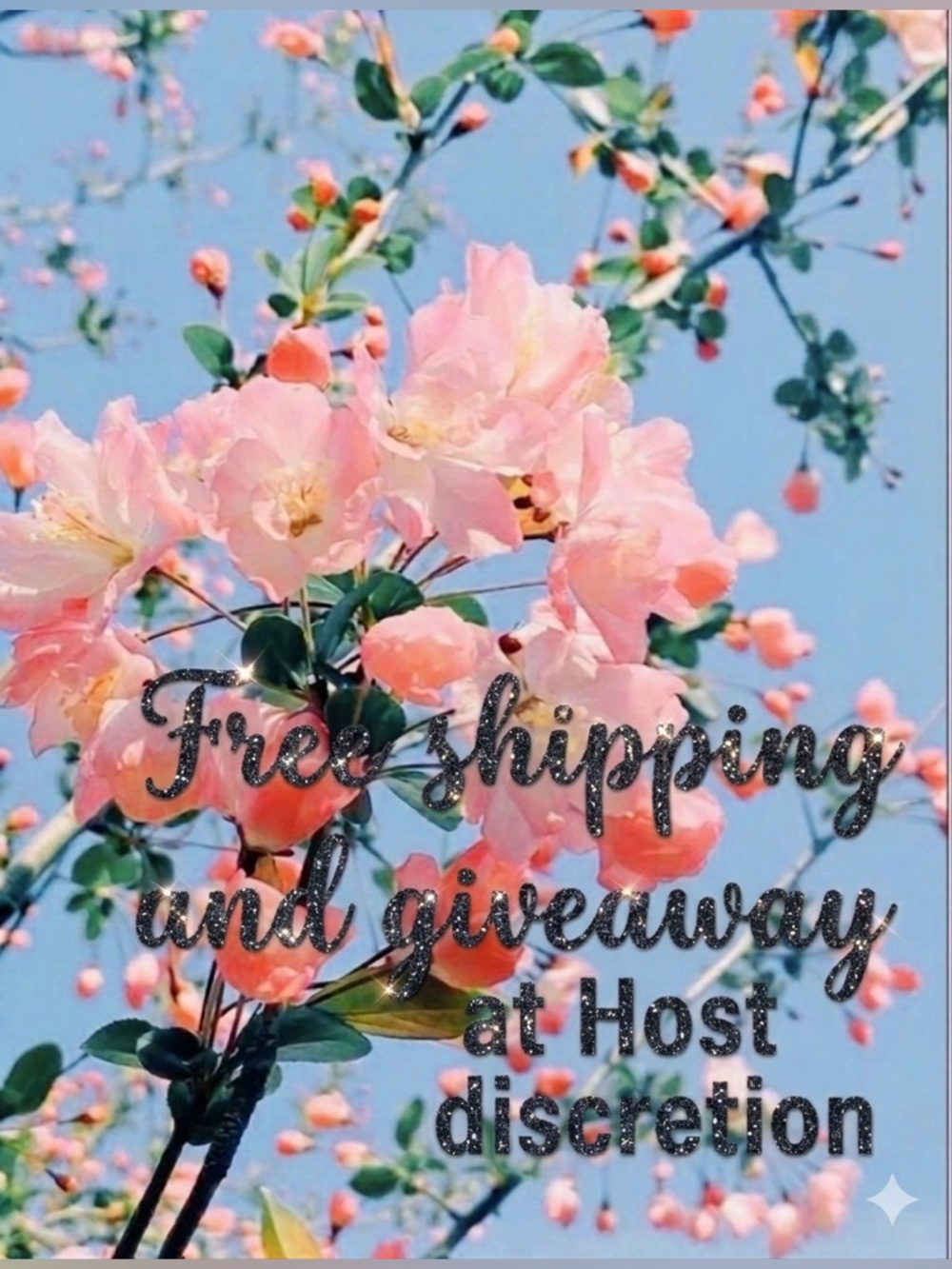 FREE SHIPPING AND GIVEAWAY AT HOST DISCRETION